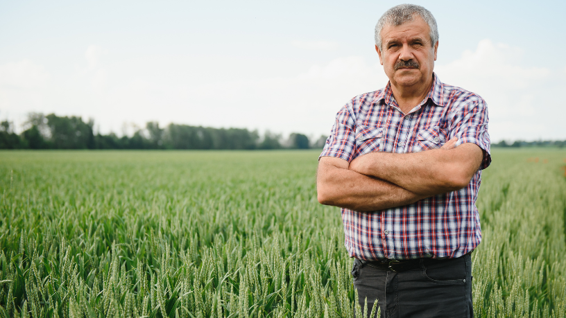 Agropecuária Grama Roxa Ltda